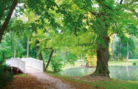 Harrachpark, &copy; Markus Einramhof