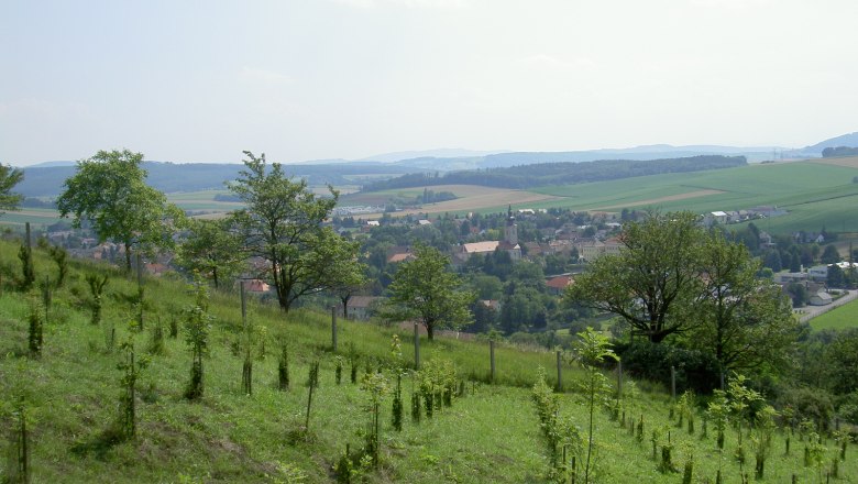 Blick vom Kuhberg auf Sieghartskirchen, © Marktgemeinde Sieghartskirchen