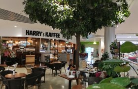 Innenansicht eines Caf&eacute;s namens Harry's Kaffee mit Tischen, St&uuml;hlen und einem gro&szlig;en k&uuml;nstlichen Baum.