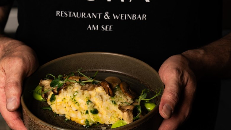 Vorspeise, &copy; Ho & Co GmbH