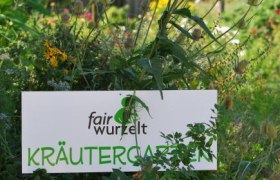 Ein Schild mit der Aufschrift 'fairwurzelt Kr&auml;utergarten' steht inmitten von gr&uuml;nen Pflanzen und Blumen.