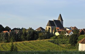 Landschaft mit Kirche und Dorf im Hintergrund, umgeben von Feldern und Bäumen.