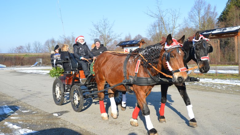 Eine weihnachtlich geschm&uuml;ckte Pferdekutsche mit Menschen in Winterkleidung auf einer Stra&szlig;e.