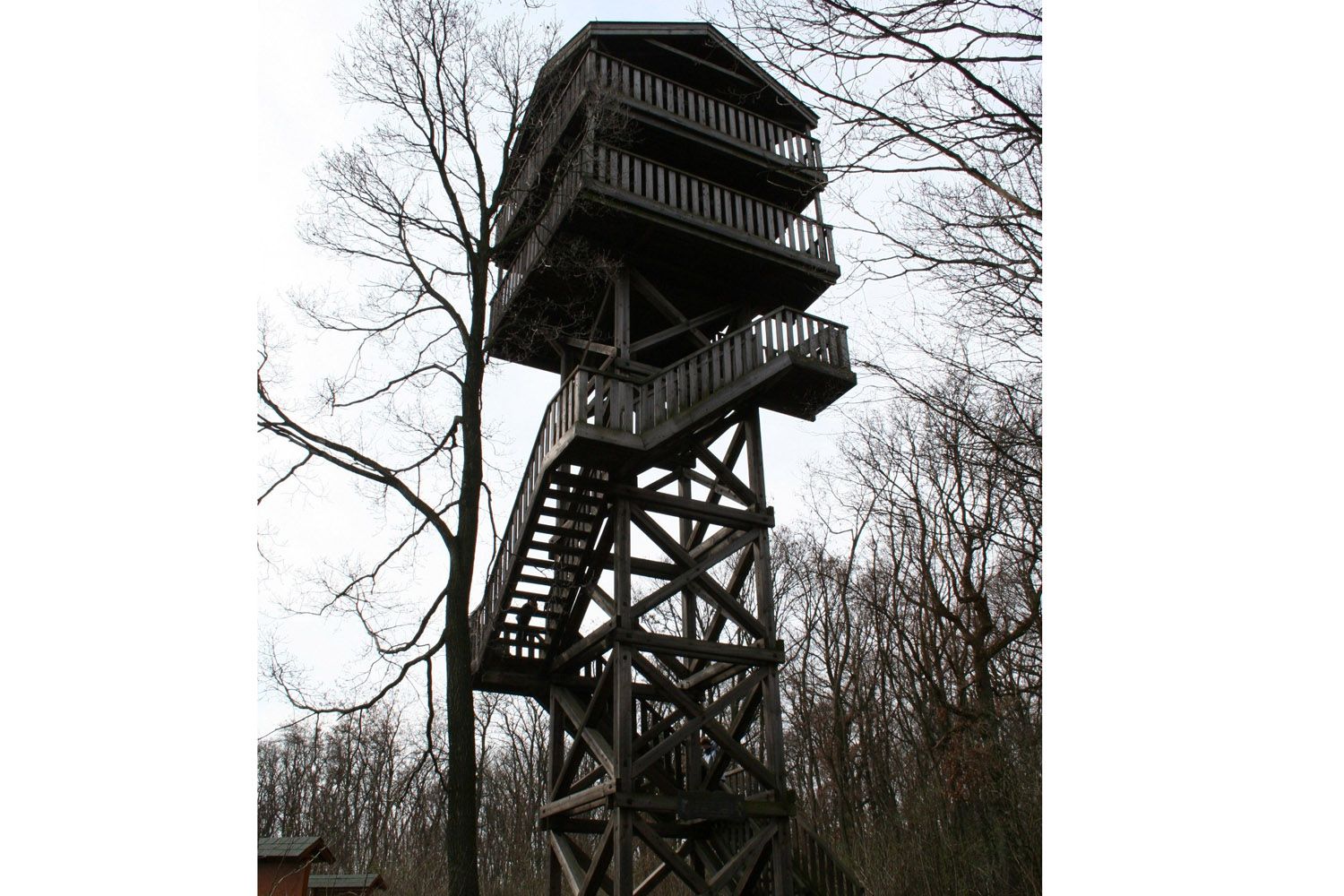 Ein hölzerner Aussichtsturm im Wald mit mehreren Plattformen und Treppen.