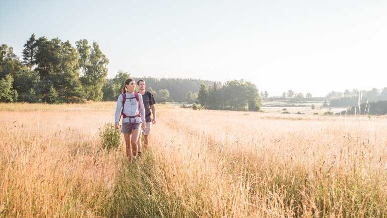 Wandern in Moorbad Harbach, &copy; Studio Ideenladen