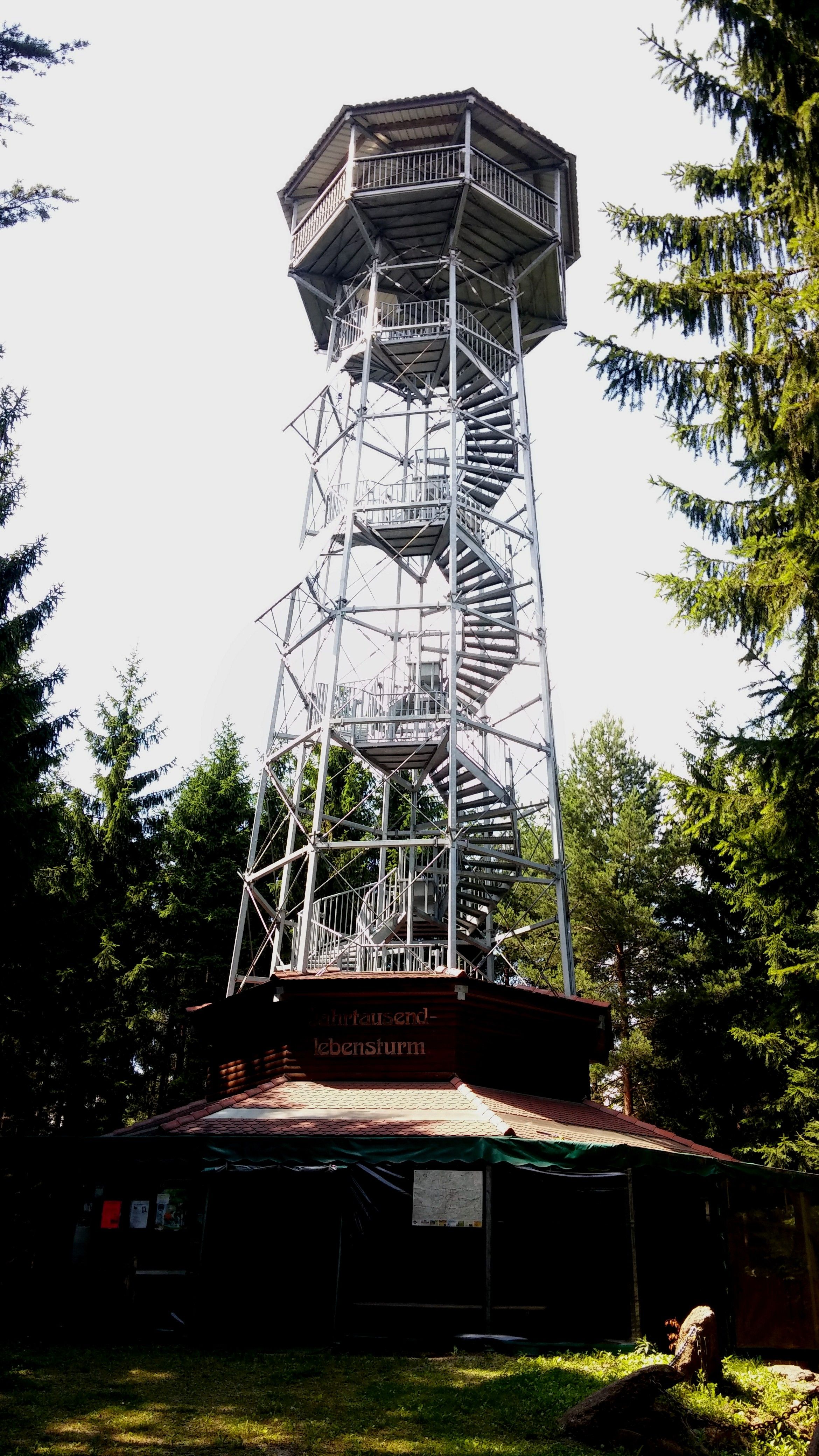 Ein hoher Aussichtsturm aus Metall mit Wendeltreppe im Wald.