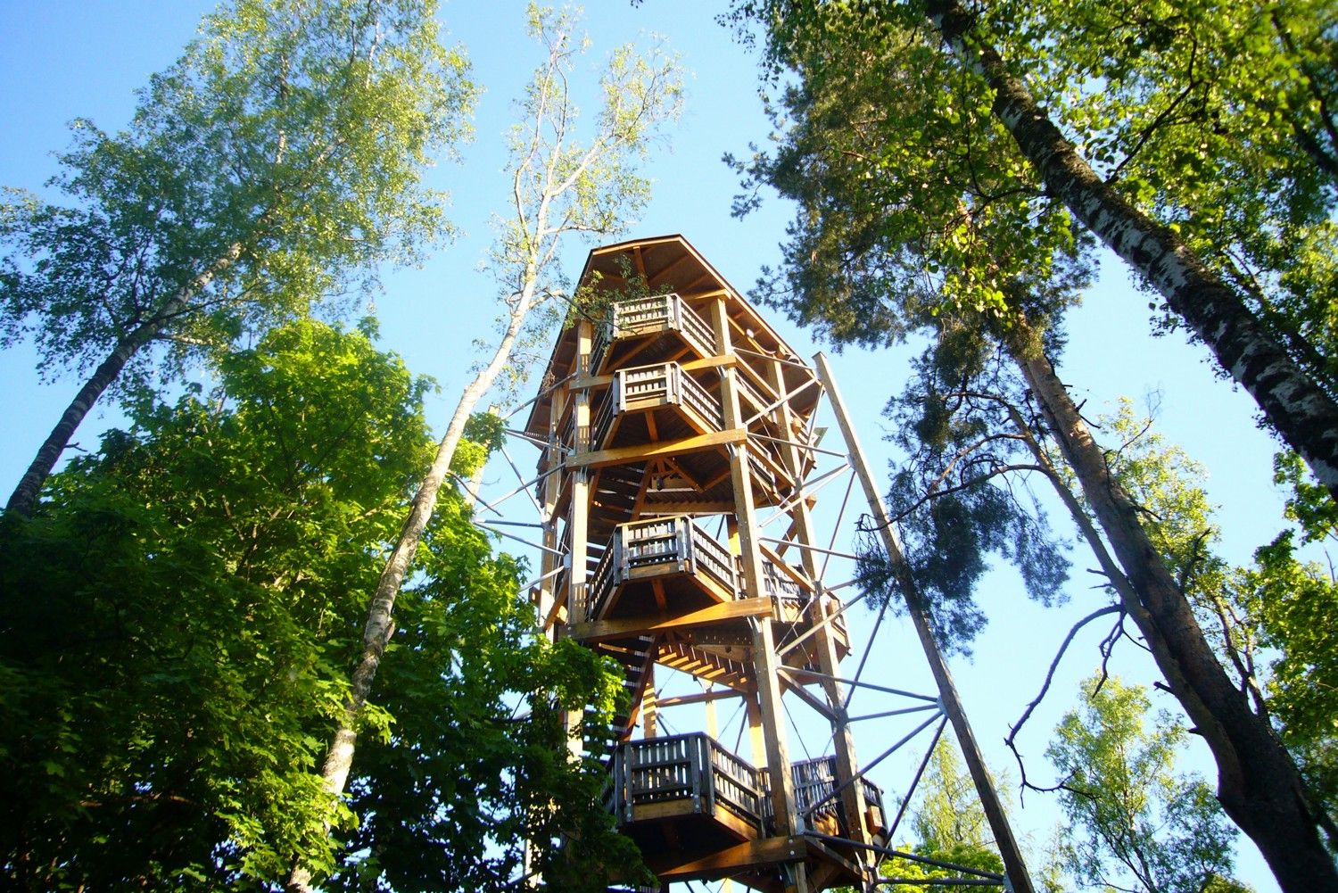 Holzaussichtsturm im Wald mit blauem Himmel.