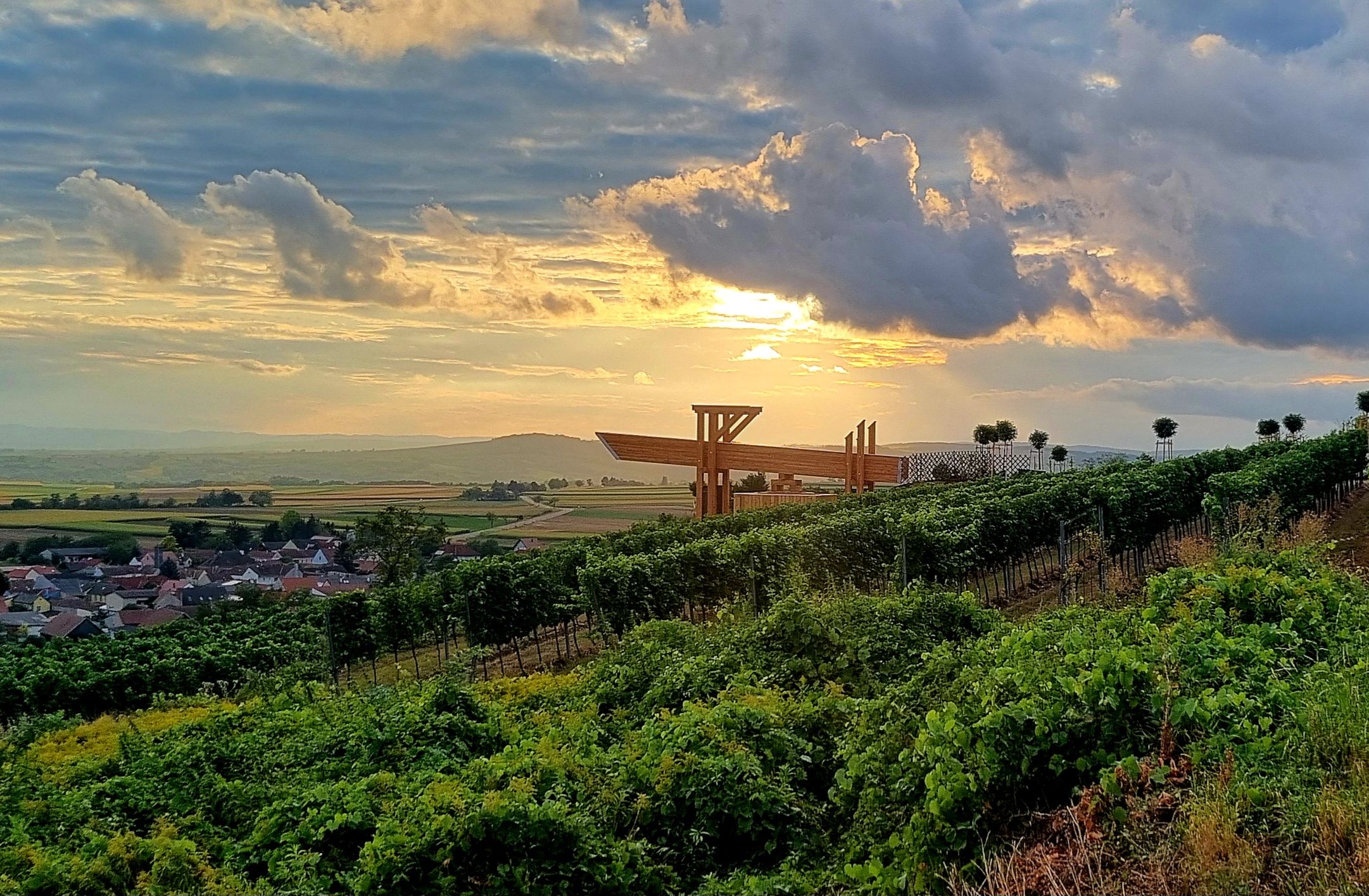 Weinberge bei Sonnenuntergang mit moderner Terrasse im Hintergrund.