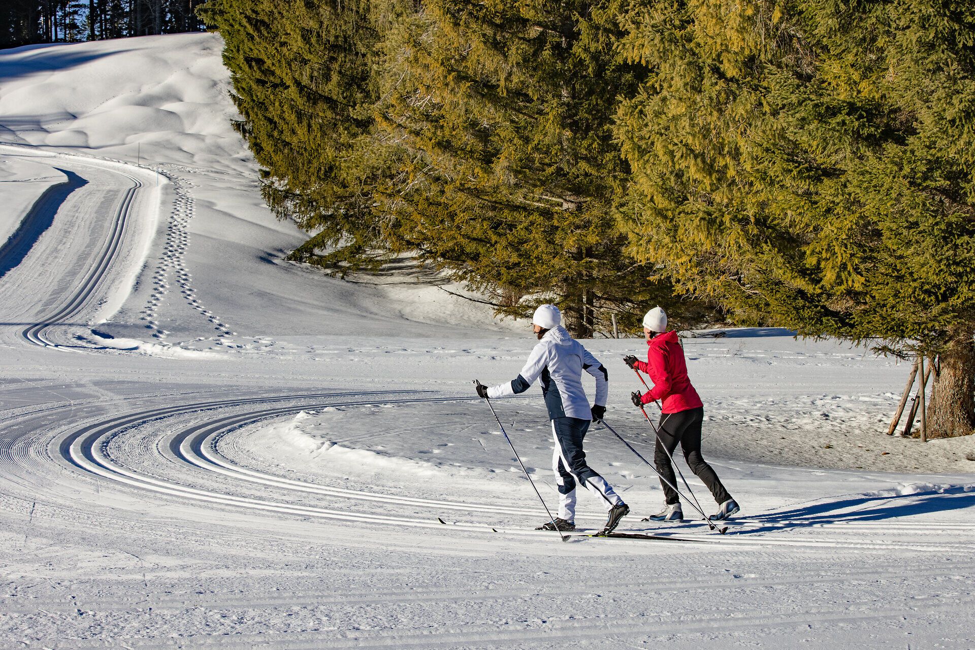 Die glitzernde Schneedecke lädt zu einem unvergesslichen Langlaufabenteuer ein. Umgeben von majestätischen Nadelbäumen gleiten die Sportler harmonisch über die präparierten Loipen und genießen die frische, klare Winterluft. Hier im Mariazellerland wird der Winter zum Erlebnis für alle, die die Natur lieben.