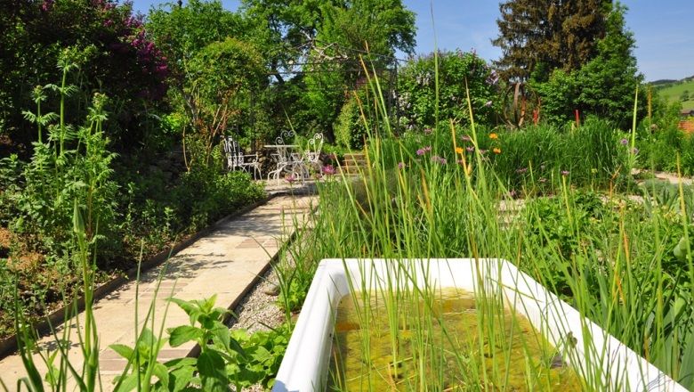 Ein grüner Garten mit einem Weg, einer alten Badewanne als Teich und einem Tisch mit Stühlen im Hintergrund.