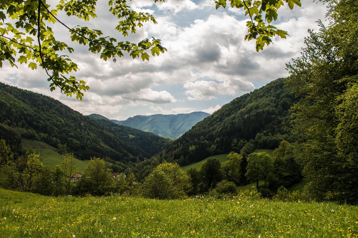 Ausblick oberhalb Kirchensiedlung