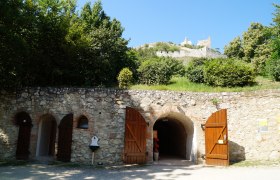 Eingang zu einem Schlosskeller mit Holzt&uuml;ren, dar&uuml;ber eine Burgruine auf einem H&uuml;gel.