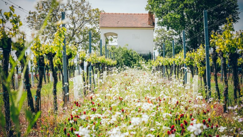 Hiatah&uuml;tte am Lindenberg, &copy; Christian Husar