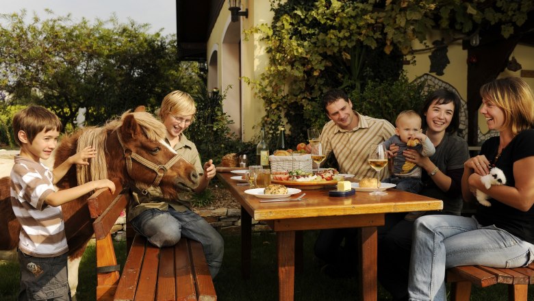 Familie sitzt im Garten an einem Tisch mit Essen, ein Kind streichelt ein Pony, ein Baby wird gehalten, eine Frau h&auml;lt ein Kaninchen.
