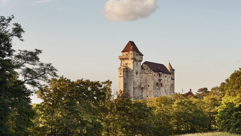 Traumhafter Blick auf Burg Liechtenstein, © Wienerwald Tourismus, Andreas Hofer