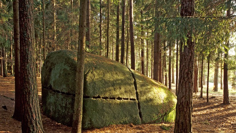 Ein gro&szlig;er, moosbedeckter Felsen mit Rissen steht in einem dichten Wald aus hohen B&auml;umen.