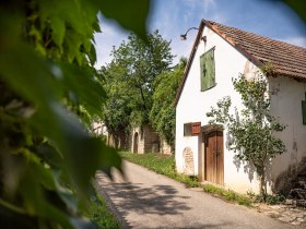 Kellergassse Göttlesbrunn, © Donau Niederösterreich - Tourismusbüro Carnuntum-Marchfeld
