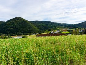 Blick zu Mandlgupf, Hinterberg und St. Anna Kirche, &copy; Gottfried Grossinger