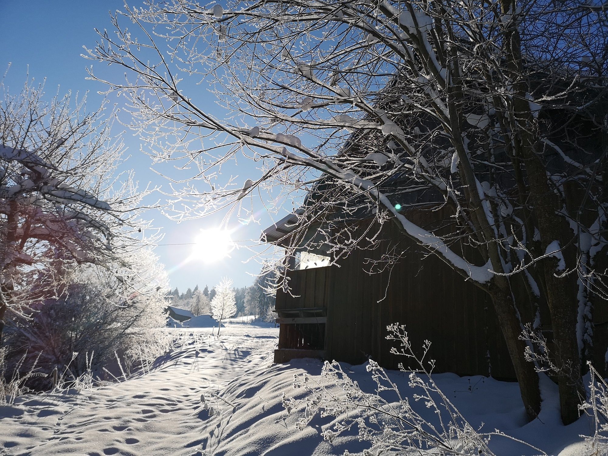 Winter