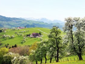 Blick von Ertl auf die Voralpen, © Mostviertel