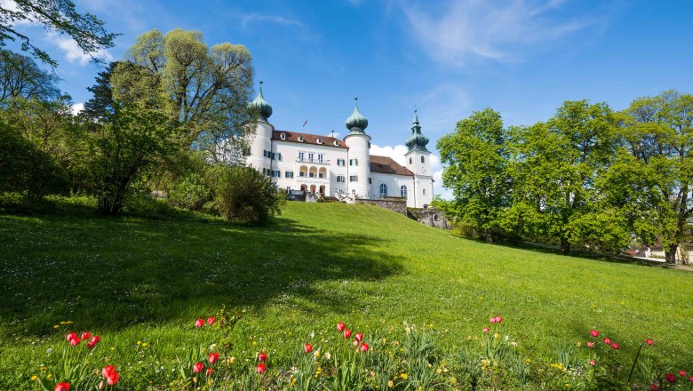 Schloss Artstetten mit gr&uuml;ner Wiese und bl&uuml;henden Tulpen im Vordergrund.