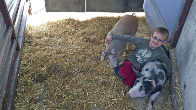 kerndlerhof_schweine_niklas, &copy; Kerndlerhof