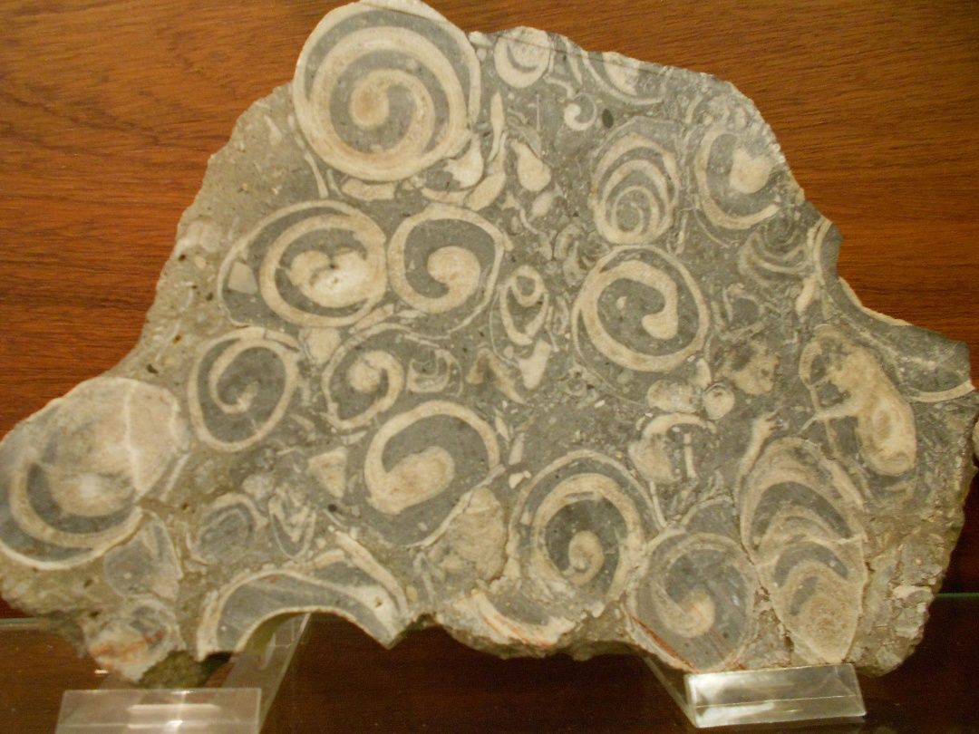 Mineralienraum