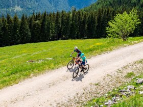 MTB_Genuss, &copy; (C) Wolfgang Wutzl