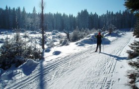 Langlaufen Gutenbrunn, &copy; &copy; Gustl Marschall sen.