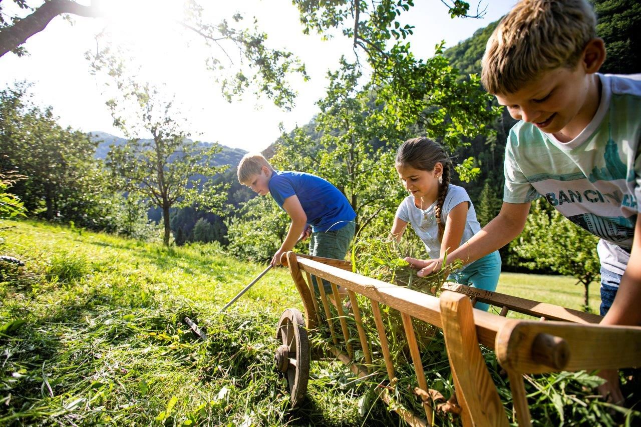 Urlaub am Zwergerlhof