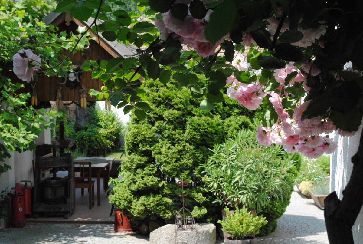Ein idyllischer Garten mit blühenden Rosen, einem Holztisch und einem kleinen Holzhaus im Hintergrund.