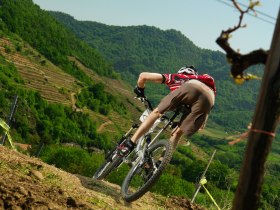 Weinsteintour, &copy; &copy; Archiv ARGE MTB N&Ouml;