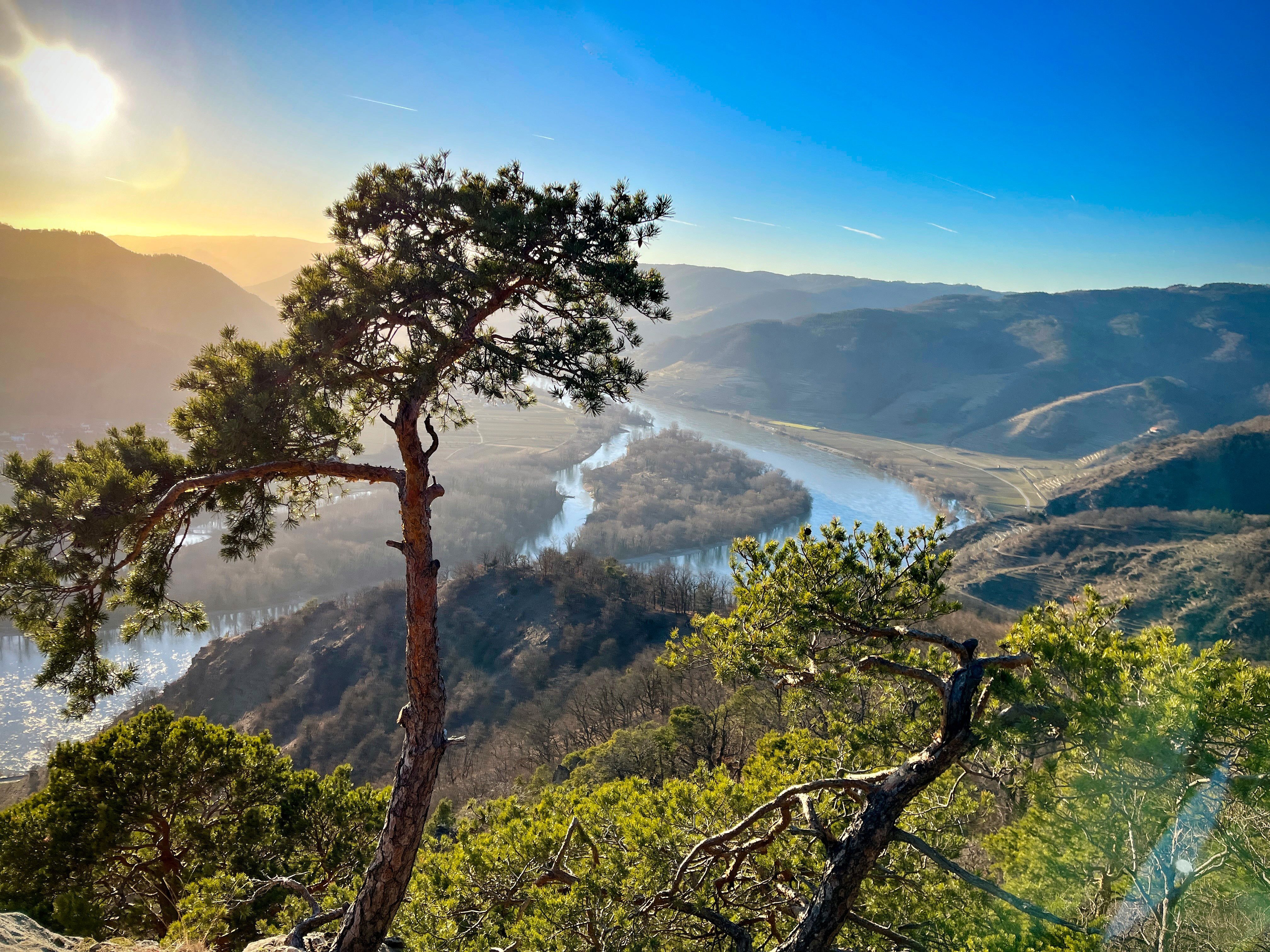 Dürnstein Wachau Trail - Welterbesteig Wachau