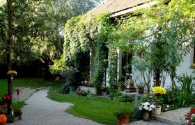 Ein grüner Innenhof mit Pflanzen, Bäumen und einem gepflasterten Weg.