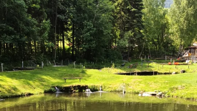 Ein ruhiger Fischteich mit umliegendem Wald und Wiese.