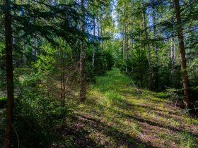 Anstieg, &copy; Gottfried Grossinger