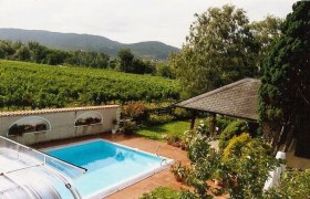 Garten mit Pool, Pavillon und Weinbergen im Hintergrund.