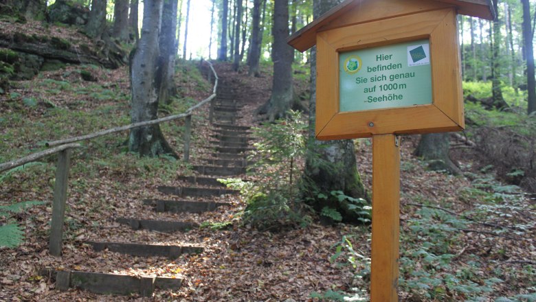 Aufstieg Weinsberg, &copy; Tourismusverein B&auml;rnkopf