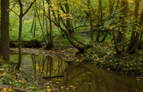 Herbstlandschaft im Pulkautal mit buntem Laub