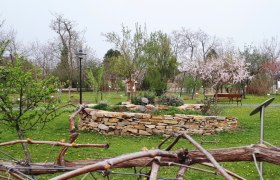 Kr&auml;uterspirale im Alchemistenpark mit bl&uuml;henden B&auml;umen und gr&uuml;ner Wiese.