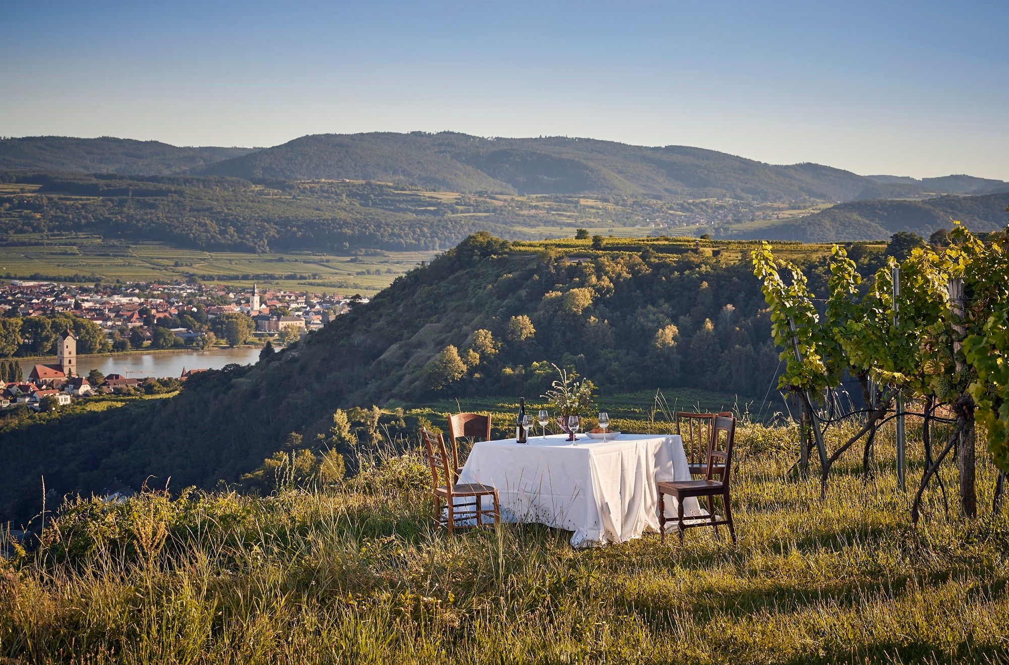 Ein gedeckter Tisch in einem Weinberg mit Blick auf eine Stadt und Hügel im Hintergrund.