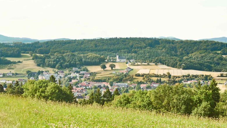 Panoramablick auf Leiben mit grünen Feldern und Wäldern im Hintergrund.