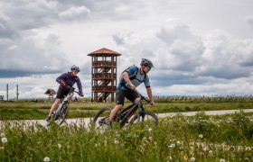 Zwei Radfahrer fahren auf einem Weg vor einem Aussichtsturm, umgeben von gr&uuml;ner Landschaft und bew&ouml;lktem Himmel.