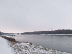 Donau Bad Deutsch-Altenburg, &copy; Donau Nieder&ouml;sterreich - Tourismusb&uuml;ro Carnuntum-Marchfeld