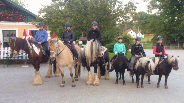 Gasthaus & Ponyhof Holzm&uuml;hle, &copy; Birgit Taxb&ouml;ck
