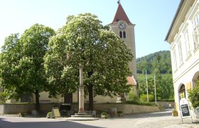 Pfarrkirche Rossatz mit Kirchturm und blühenden Bäumen im Vordergrund.