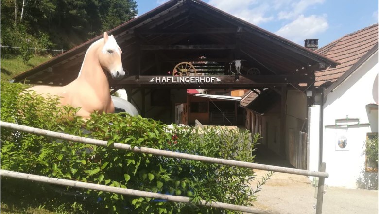 Haflingerhof Luef Bad Schönau, © Wiener Alpen Eingang zum Haflingerhof mit Pferdestatue und Holzdach.