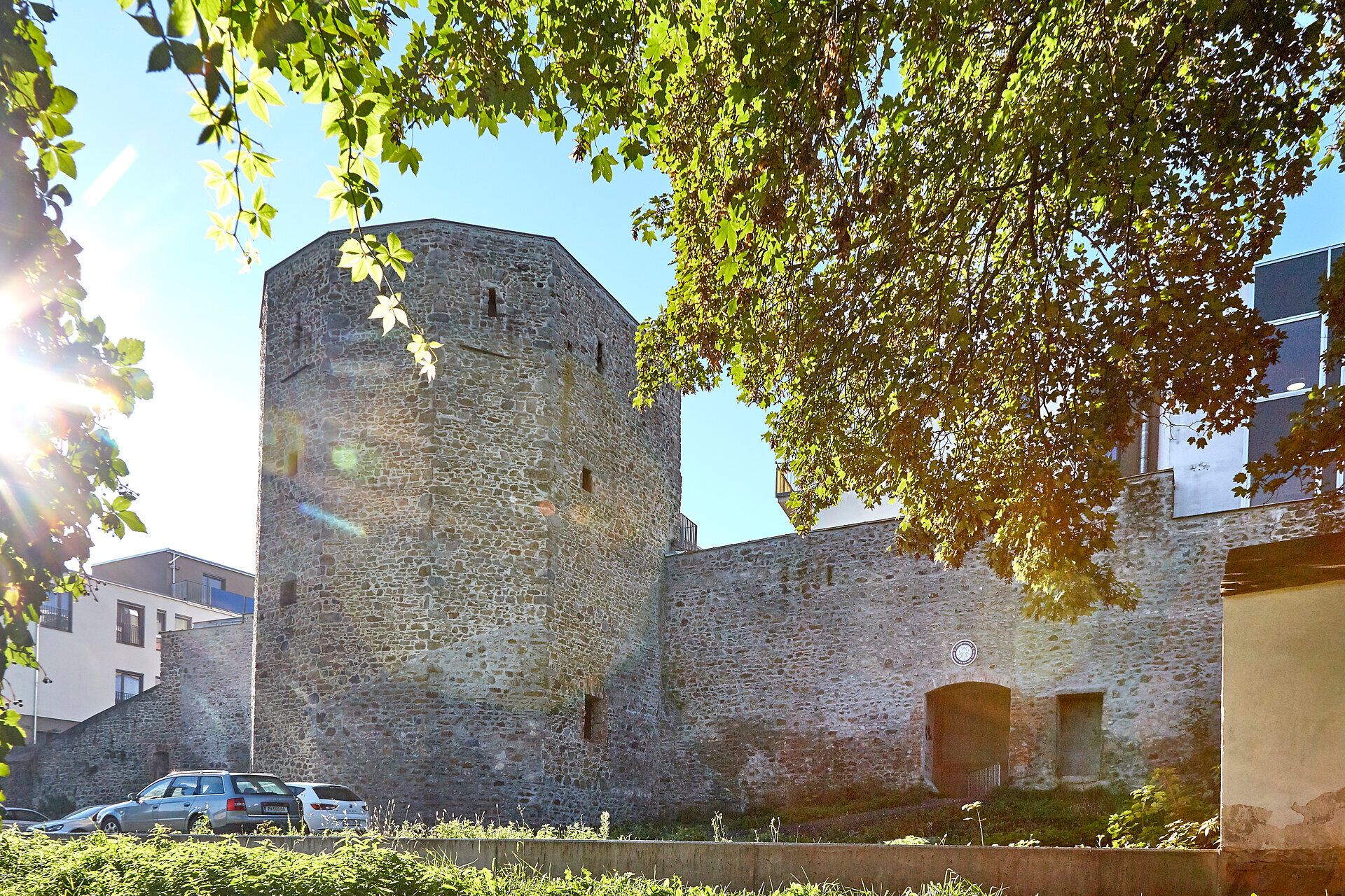 Stadtmauer und Turm in Waidhofen an der Thaya, umgeben von Bäumen und Sonnenlicht.