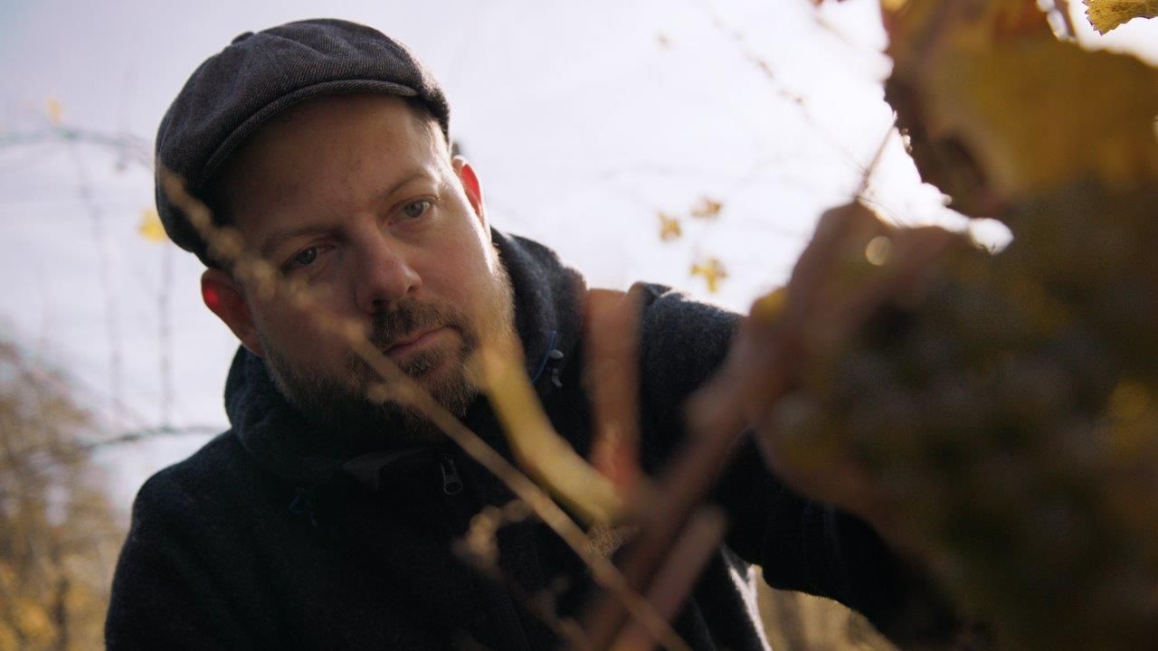 Winzer Mike Nährer