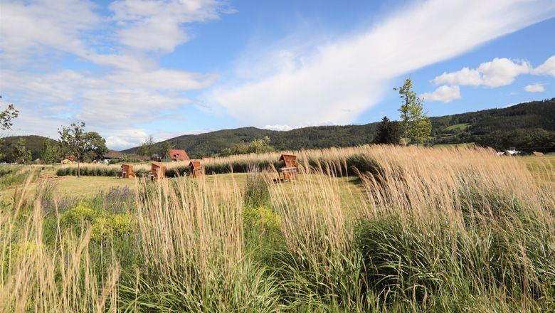 Grüne Wiese mit Picknicktischen und hohen Gräsern, umgeben von Hügeln und blauem Himmel.